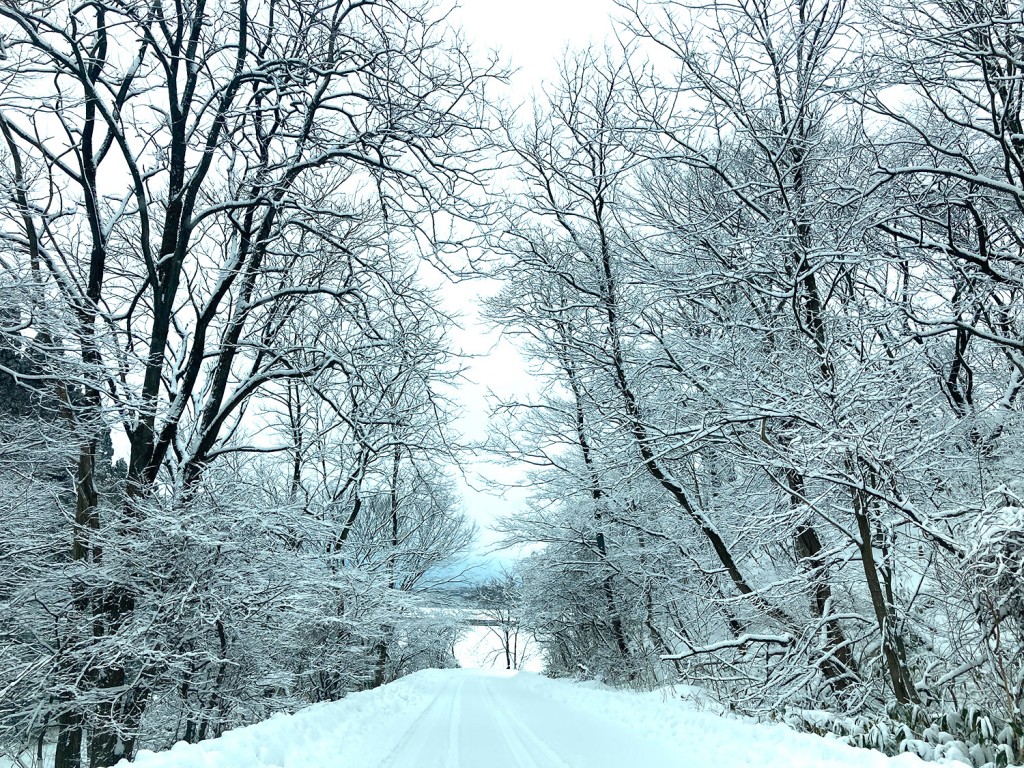 2月の冬景色